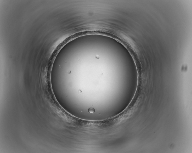 X0000092250875200709141146