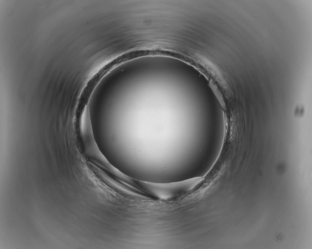X0000092250876200709141146