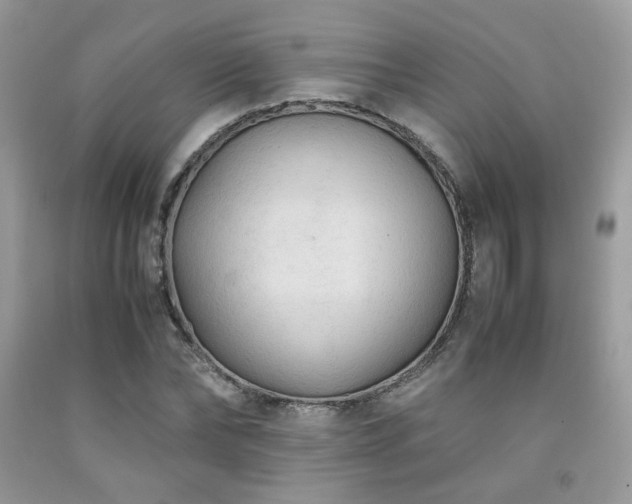 X0000092250878200709141146