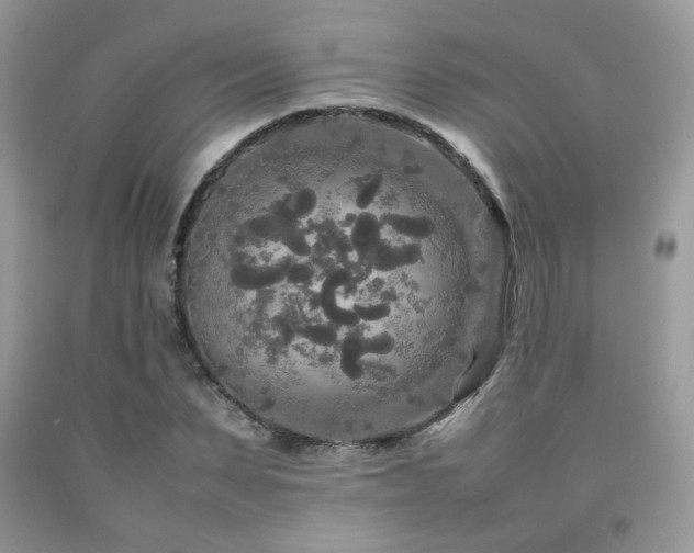 X0000092250879200709141146