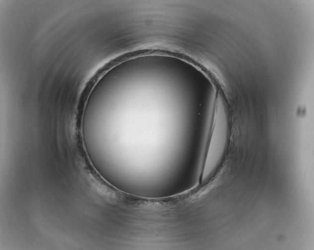 X0000092250880200709141146