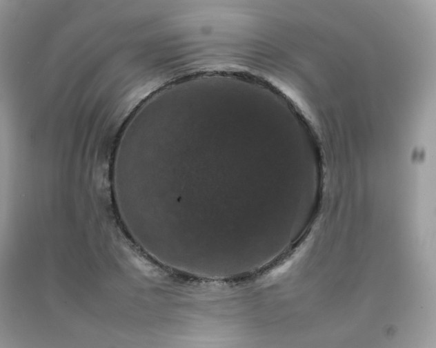 X0000092250881200709141146