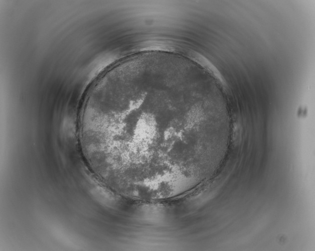 X0000092250882200709141146