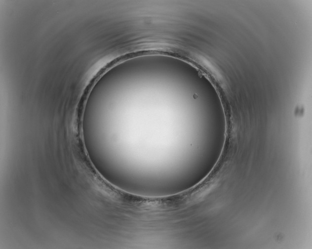 X0000092250883200709141146