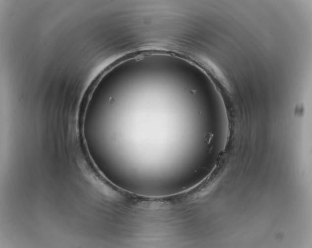 X0000092250884200709141146