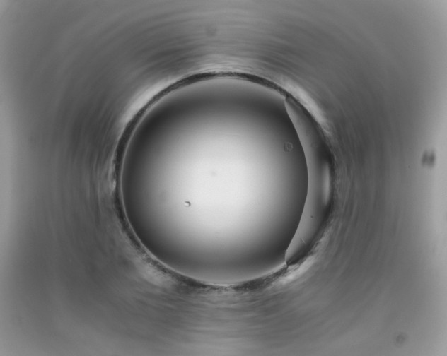 X0000092250885200709141146