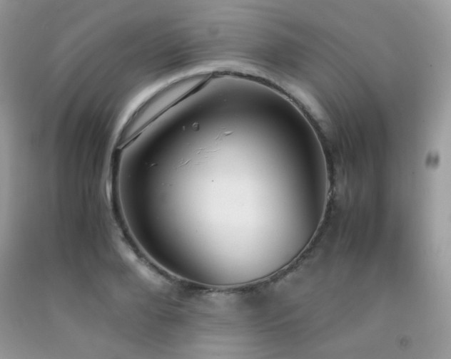 X0000092250888200709141146