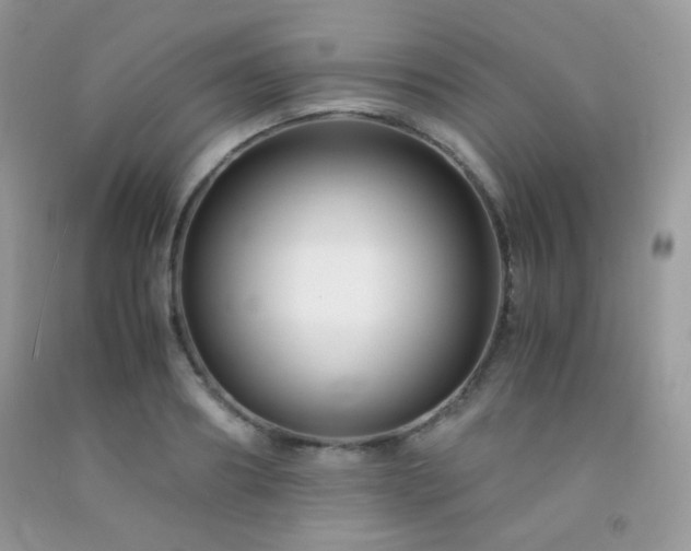 X0000092250890200709141146