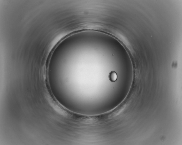 X0000092250891200709141145