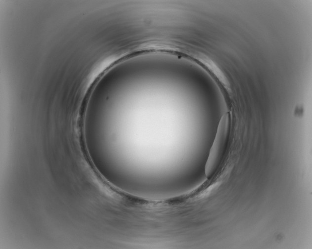 X0000092250893200709141145