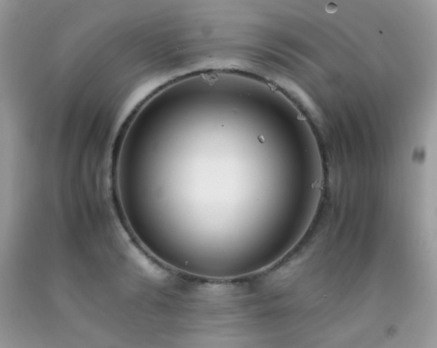 X0000092250894200709141145