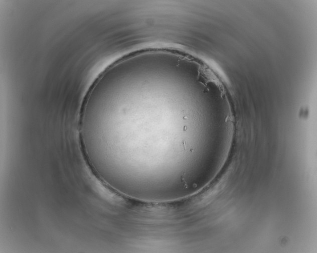 X0000092250895200709141145