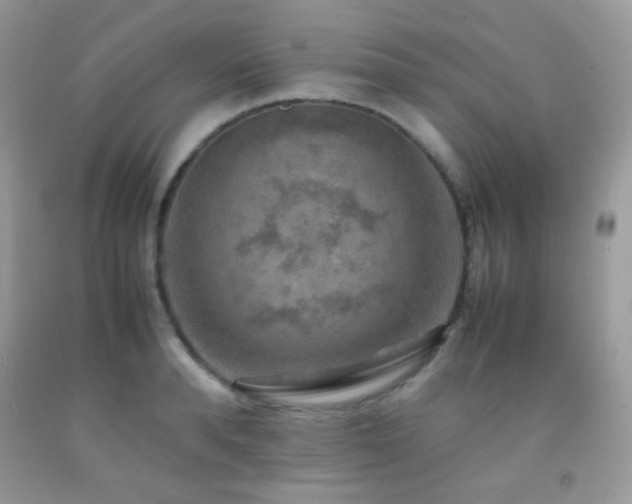 X0000092250896200709141145