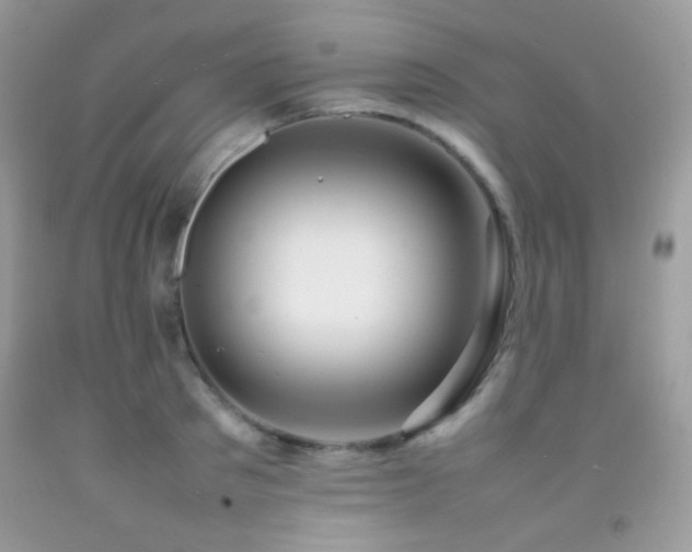 X0000092250897200709141145