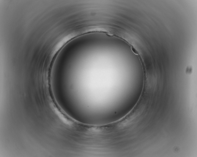 X0000092250898200709141145
