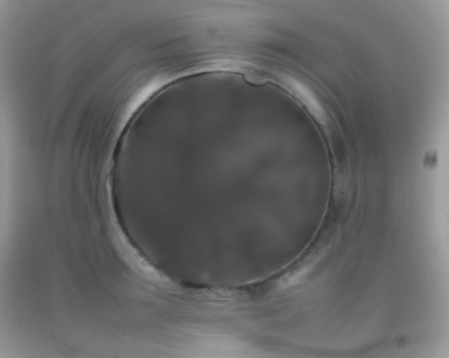 X0000092250899200709141145