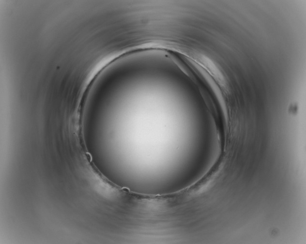 X0000092250900200709141145