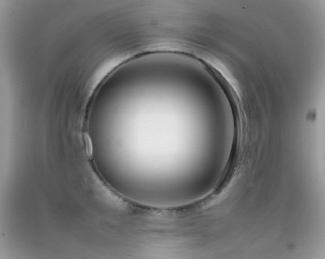 X0000092250901200709141145