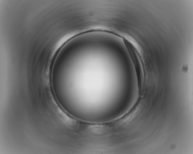 X0000092250902200709141145
