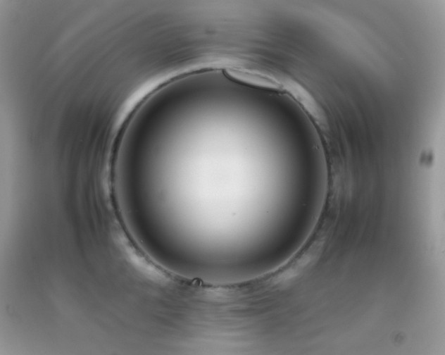 X0000092250904200709141145