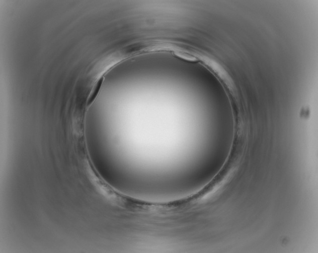 X0000092250905200709141145