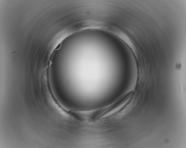 X0000092250906200709141145