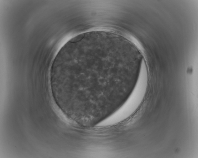 X0000092250907200709141145