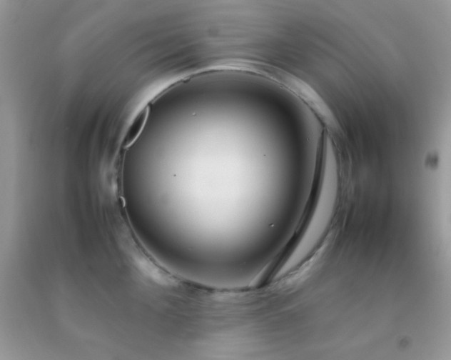 X0000092250908200709141145