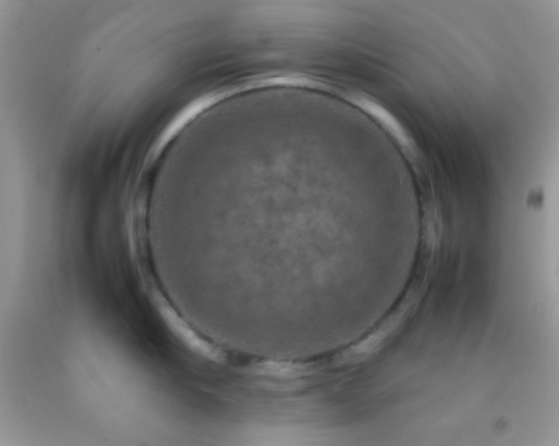 X0000092250910200709141145