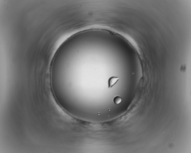 X0000092250911200709141145