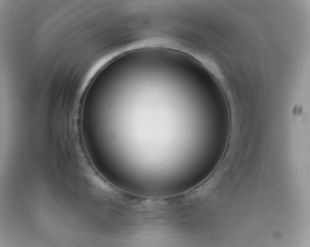 X0000092250912200709141145