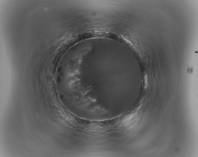X0000092250913200709141145