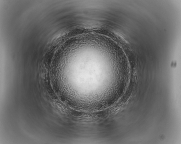 X0000092250917200709141145