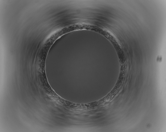 X0000092250919200709141145