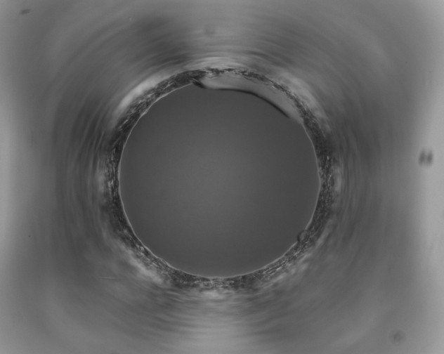 X0000092250920200709141145