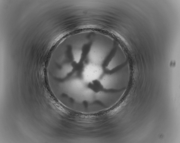 X0000092250921200709141145