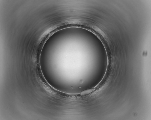 X0000092250922200709141145