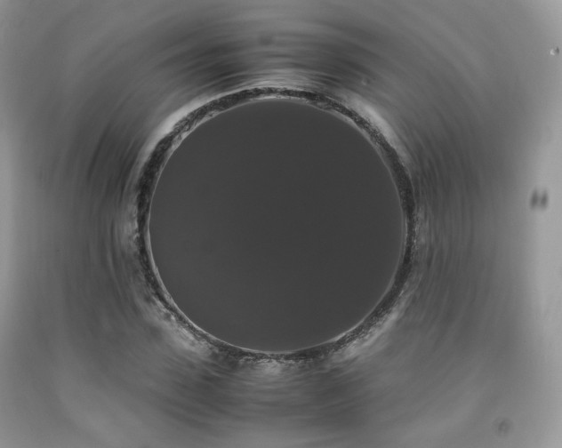 X0000092250923200709141145