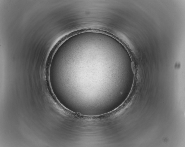 X0000092250924200709141145
