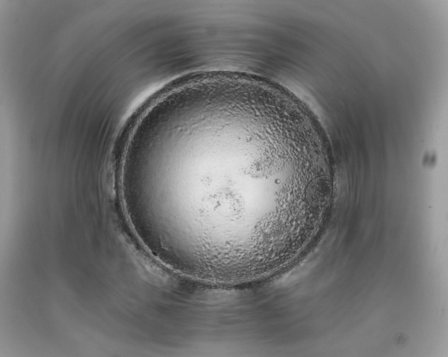 X0000092250925200709141145