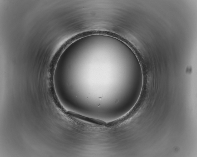 X0000092250926200709141145