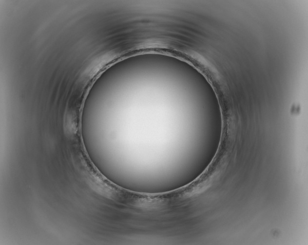 X0000092250929200709141145