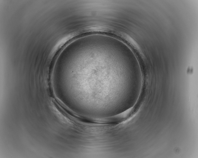 X0000092250930200709141145