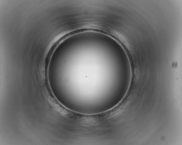 X0000092250931200709141145