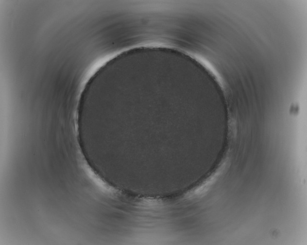 X0000092250935200709141145