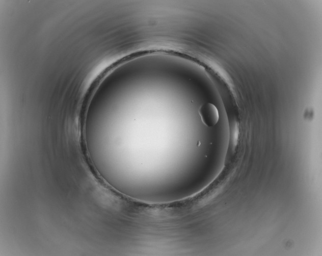 X0000092250936200709141145
