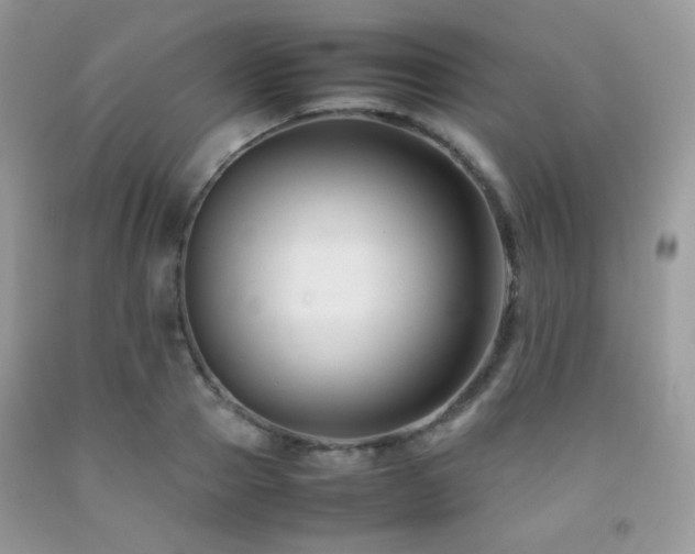 X0000092250937200709141145