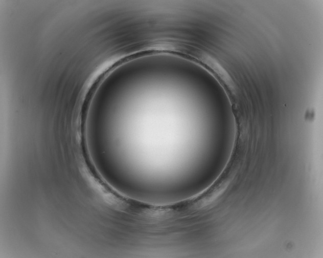 X0000092250939200709141145