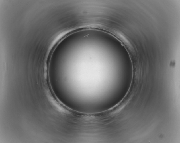 X0000092250940200709141145