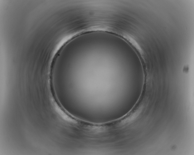 X0000092250941200709141145